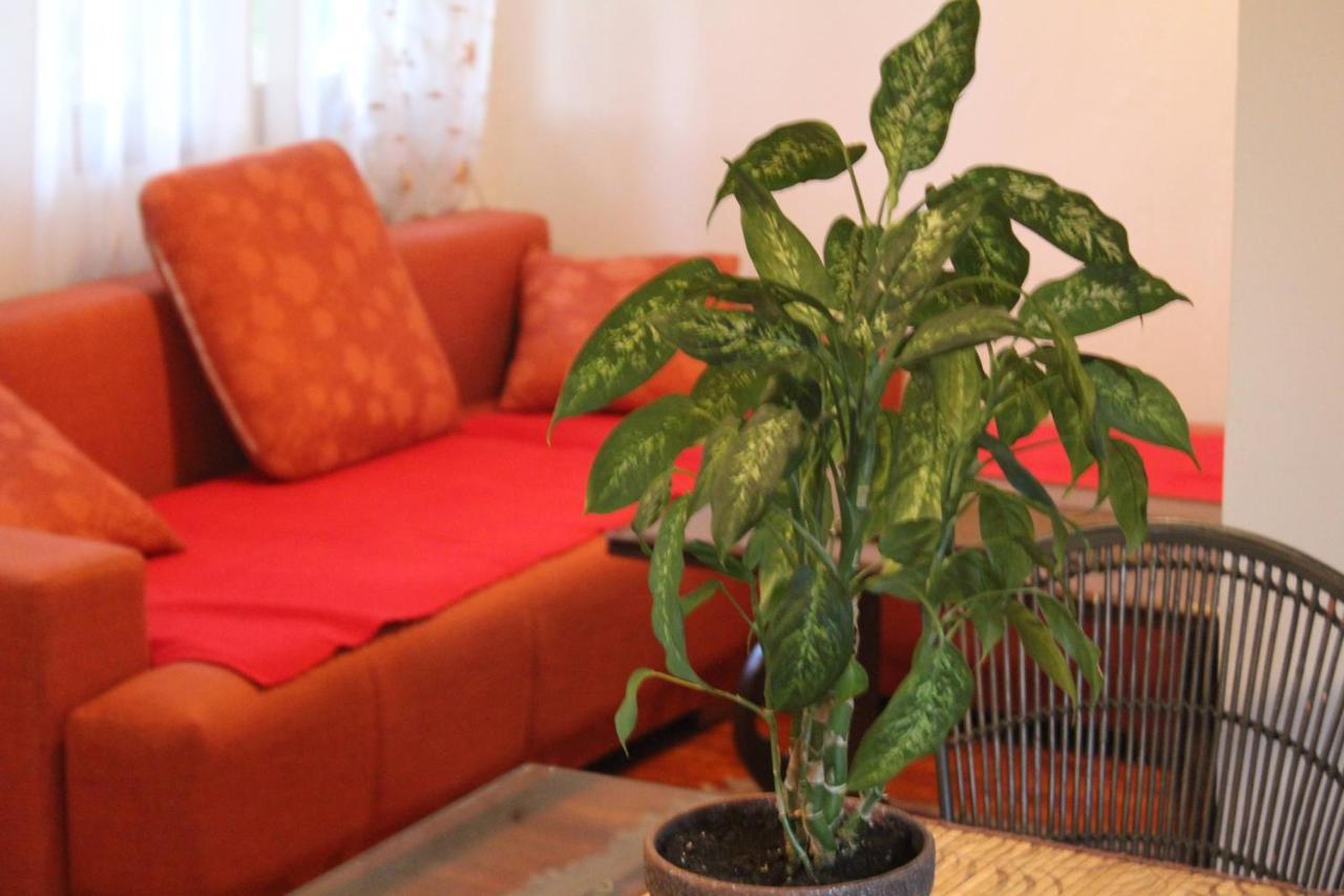 Casa Botanica Βίλα Blagaj Εξωτερικό φωτογραφία