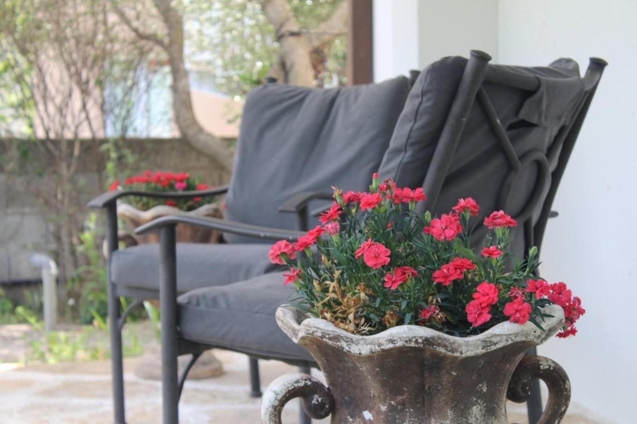 Casa Botanica Βίλα Blagaj Εξωτερικό φωτογραφία