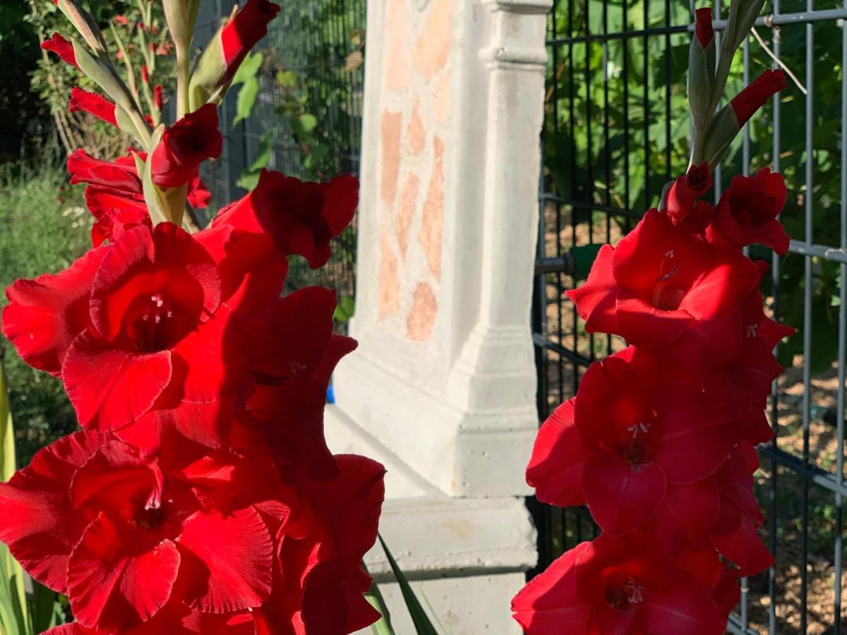 Casa Botanica Βίλα Blagaj Εξωτερικό φωτογραφία